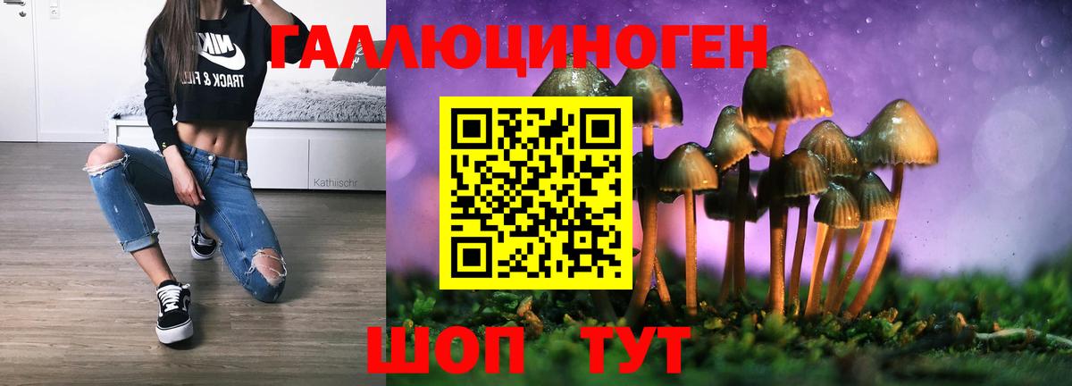 Псилоцибиновые грибы Psilocybine cubensis Киров